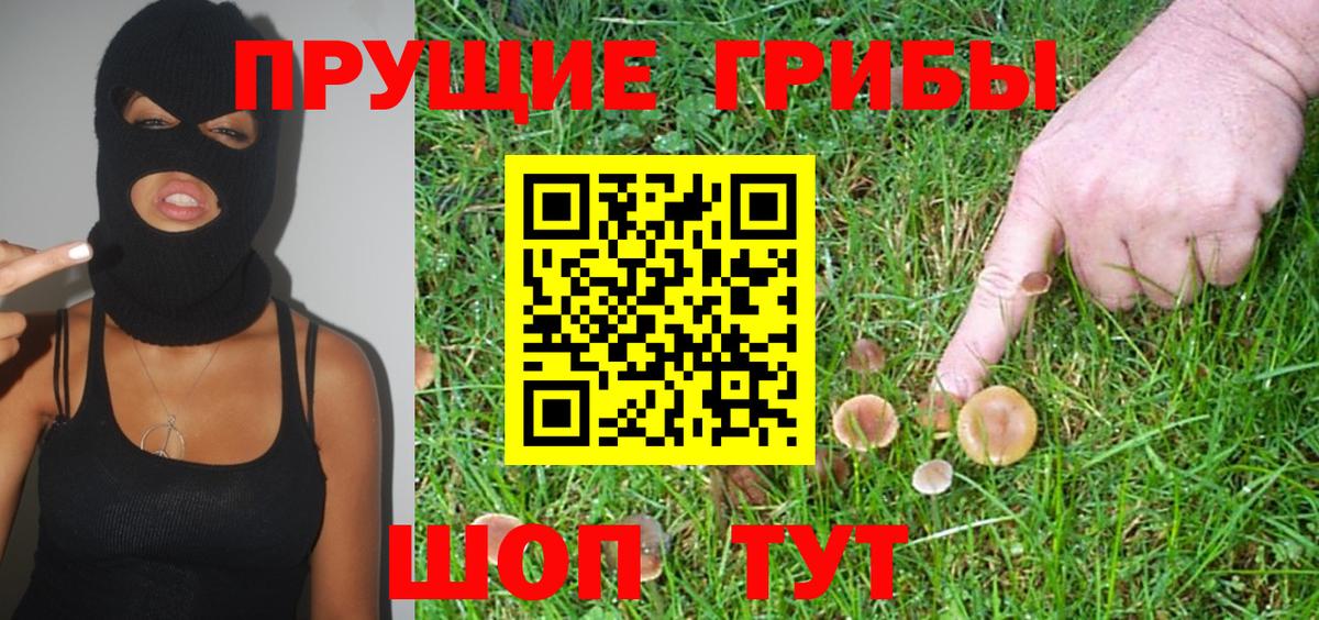 Псилоцибиновые грибы Psilocybine cubensis  Вход с VPN  Ликино-Дулёво  Псилоцибиновые грибы мицелий 